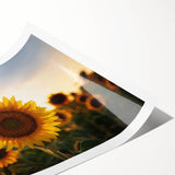 Extra large wall art featuring line art flowers in black on white, ideal for large living room decor.