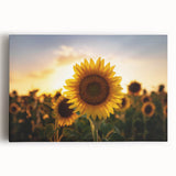 Black and white stretched canvas featuring a panoramic Kansas landscape, ideal for kitchen wall art.