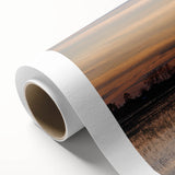 Art Deco style poster of Louisiana scenery, featuring pastel colors on rolled canvas, ideal for nursery wall art.