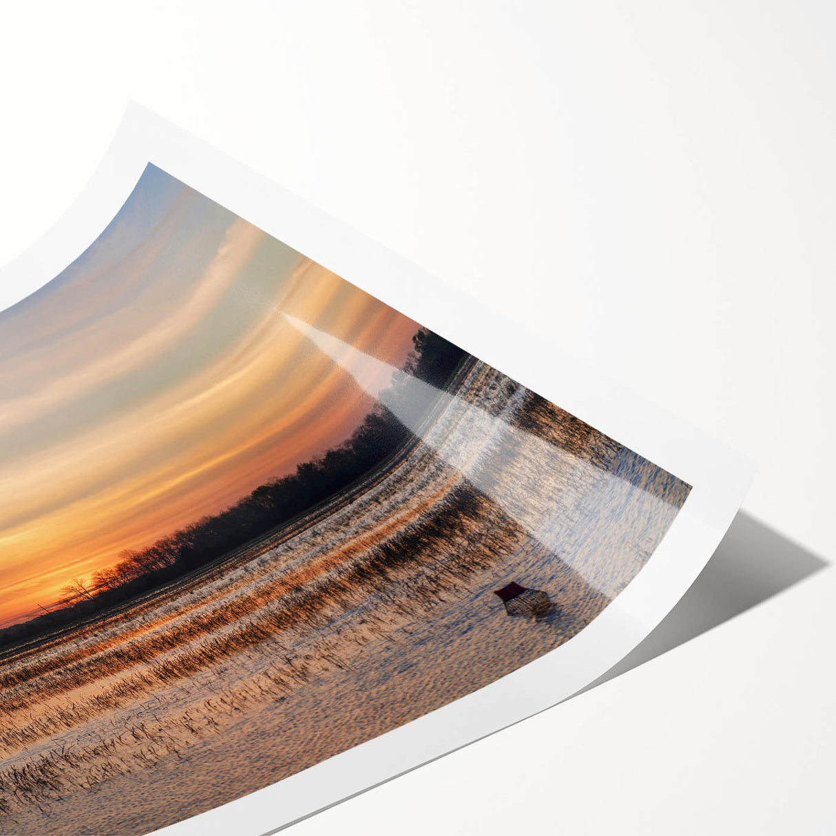 Extra large rolled print featuring line art flowers in muted earth tones, ideal for large living room wall art.
