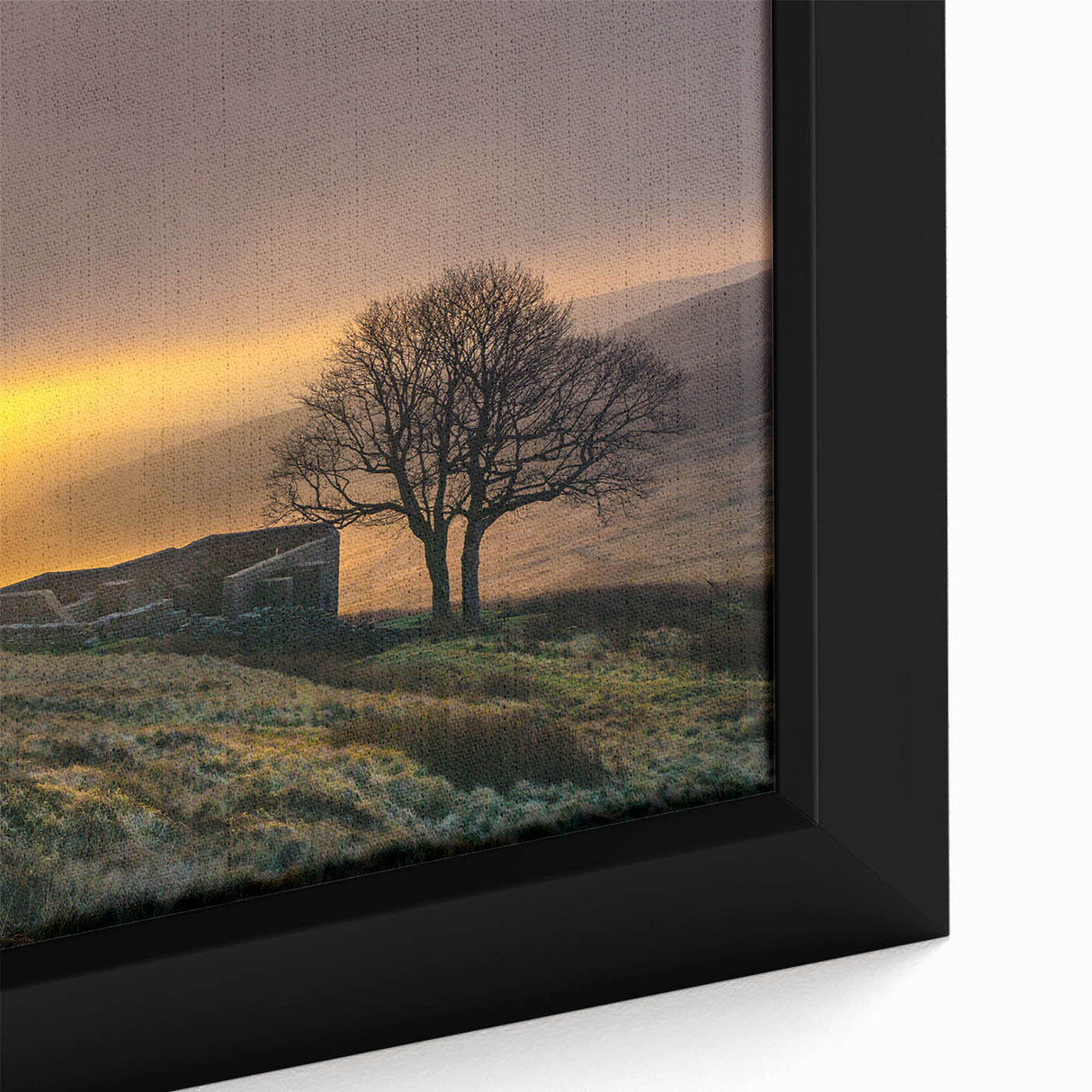 Extra large framed canvas of Charlotte, North Carolina skyline in black with colorful, textured highlights.