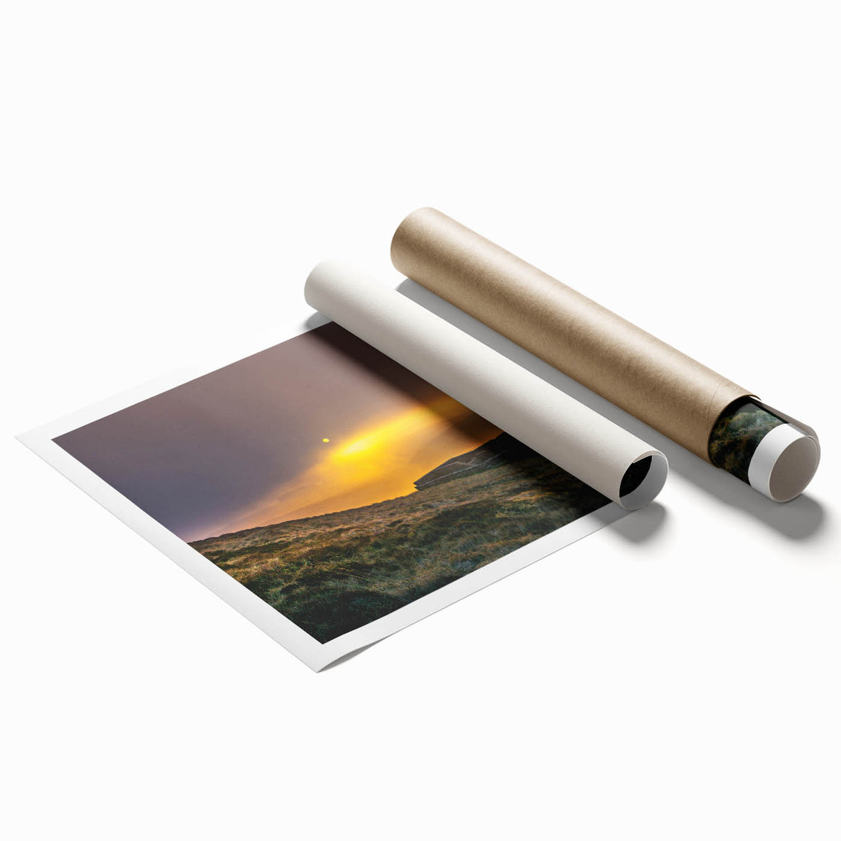Extra large rolled print of Charlotte, North Carolina skyline with pastel floral elements.