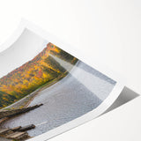 Extra large wall art featuring line art flowers in muted tones on a rolled print, ideal for large living room decor.