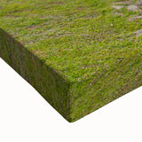 Large art featuring a black and white Pennsylvania landscape on stretched canvas, suitable for bedroom wall decor.