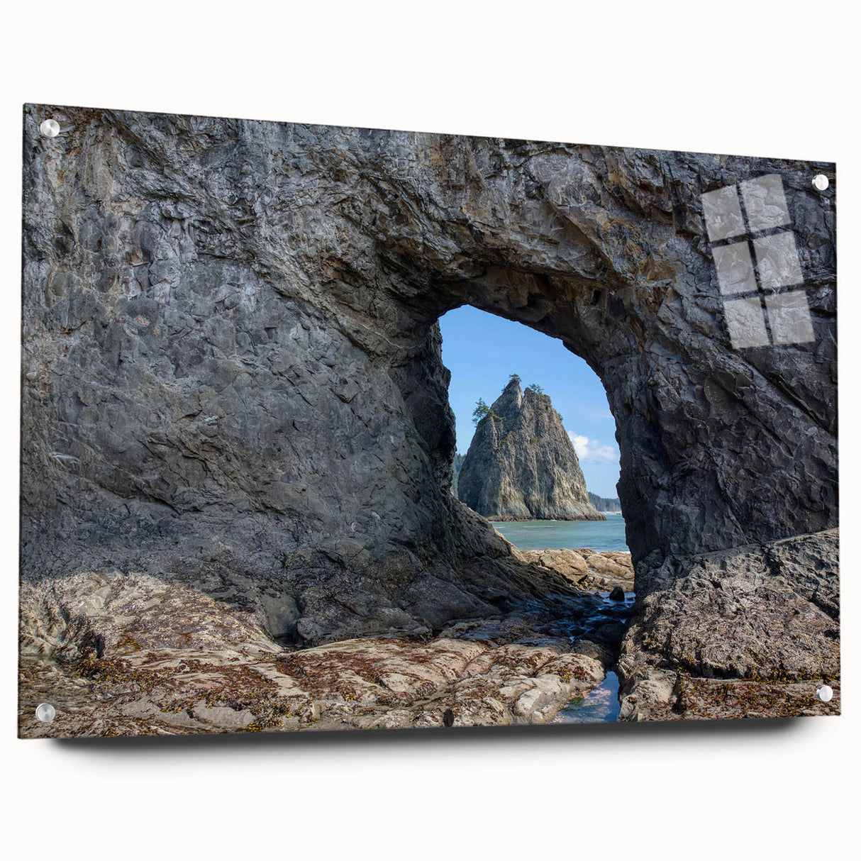 Acrylic glass print of the Olympic National Park with lush greenery and mountain backdrop.