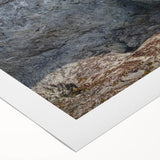 Art deco poster of Olympic National Park on rolled canvas, featuring muted earth tones, ideal for dining room wall art.