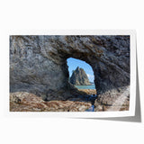 Olympic National Park scenery on a rolled canvas print featuring lush green tones, ideal for art wall dining room.