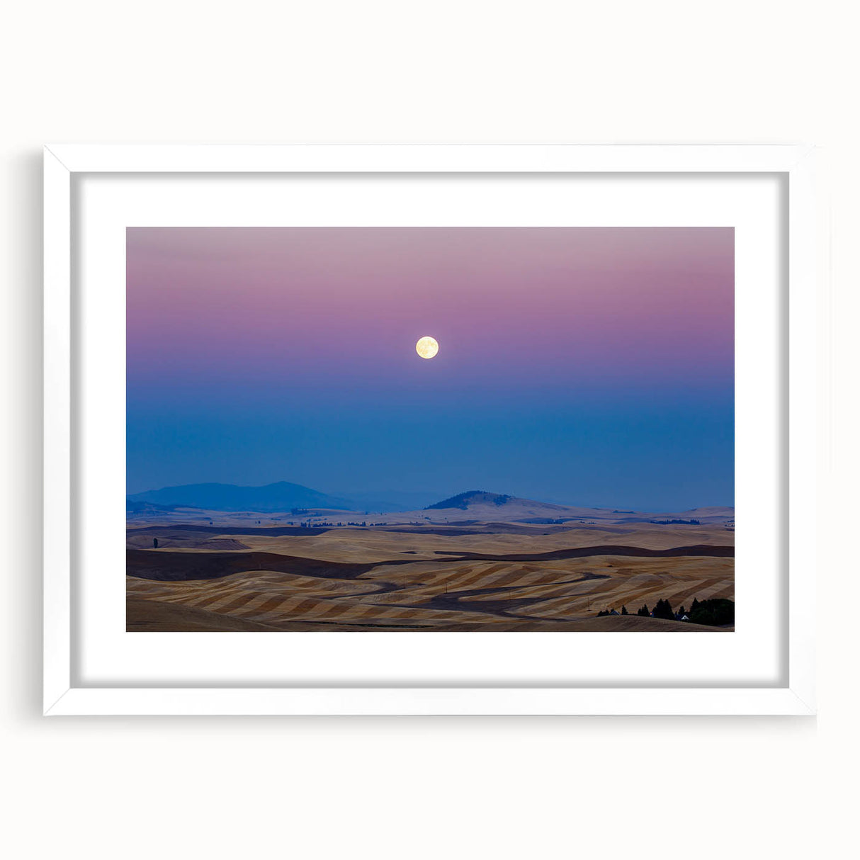 Abstract art print of the Palouse region in muted green and brown tones on a white framed canvas.