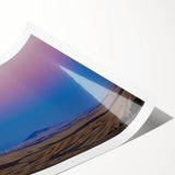 Extra large rolled print of line art flowers in muted greens, ideal for large living room wall art.