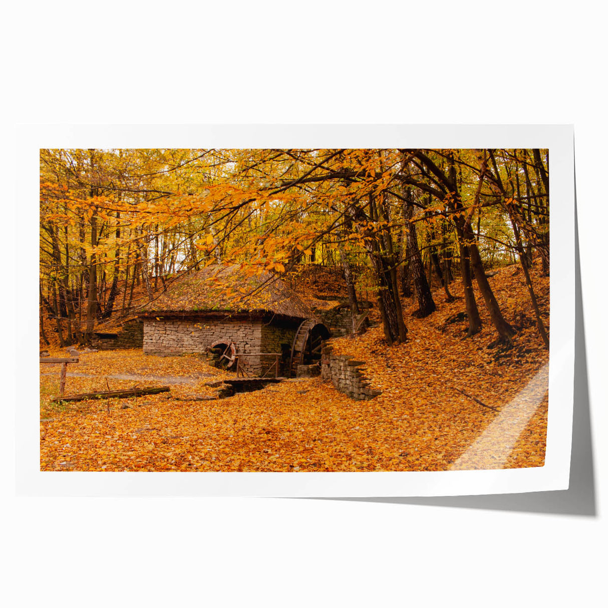 Scenic West Virginia landscape print on rolled canvas, featuring lush greenery and floral elements.