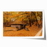 Scenic West Virginia landscape print on rolled canvas, featuring lush greenery and floral elements.