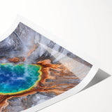 Extra large wall art featuring line art flowers in muted earth tones on a rolled canvas.