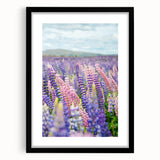 Extra large abstract art print featuring textured, colorful swirls on a black framed canvas, suitable for living room decor.