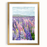 Extra large abstract art print with textured design in vibrant spring hues on a framed canvas, ideal for living room decor.