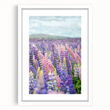 Abstract art print featuring soft pastel colors on a white framed canvas, ideal for dining room or bedroom decor.