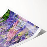 Extra large rolled print featuring line art flowers in black on white, ideal for large living room wall art.