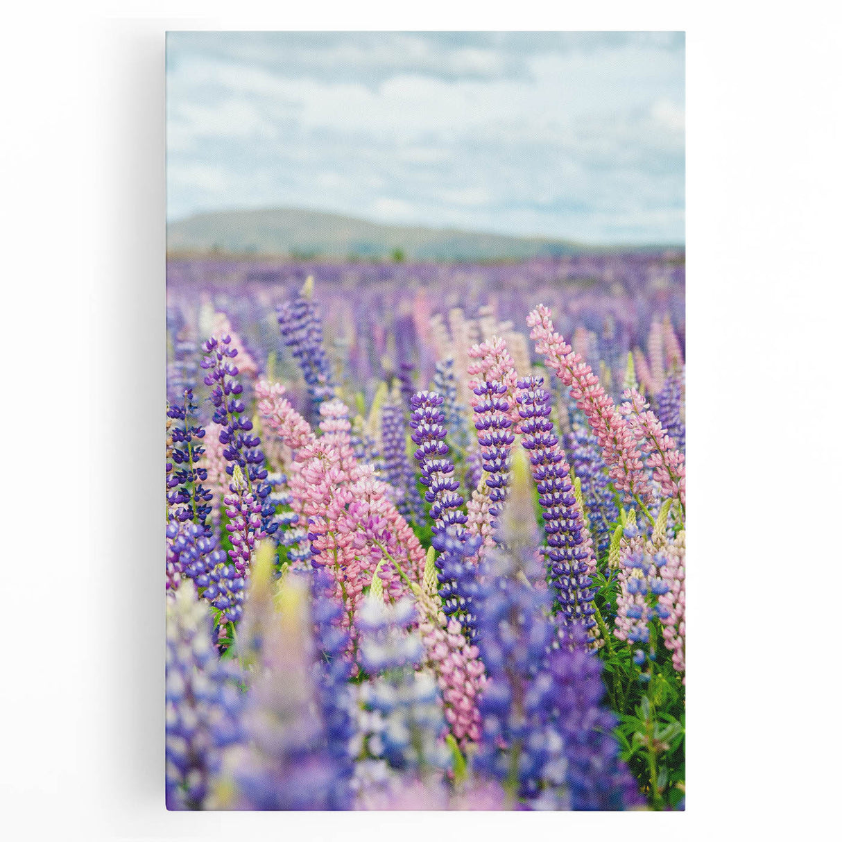 Black and white abstract depiction of spring on large stretched canvas, suitable for kitchen art.