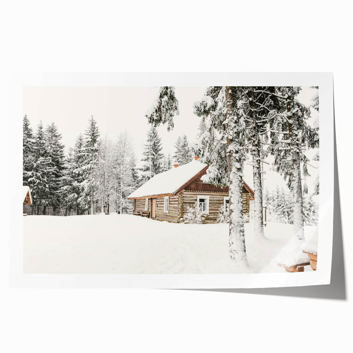 Extra large rolled canvas with a winter floral theme in muted blue and white tones.