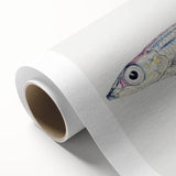 Realism Art Print of Argentina Elongata - Vintage Marine Life Illustration