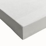 Realism Art Print of Argentina Elongata - Vintage Marine Life Illustration