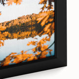 Close-up of extra large framed canvas featuring a textured, colorful abstract design with black accents.