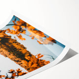 Extra large wall art featuring line art flowers in muted autumn hues on rolled print, suitable for large living room decor.