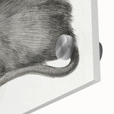 Romanticism Art - Study of a Mouse - Classic Romantic Animal Print