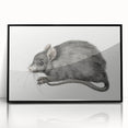 Romanticism Art - Study of a Mouse - Classic Romantic Animal Print