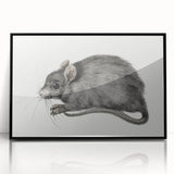 Romanticism Art - Study of a Mouse - Classic Romantic Animal Print