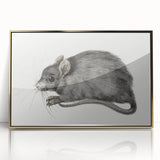 Romanticism Art - Study of a Mouse - Classic Romantic Animal Print