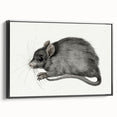 Romanticism Art - Study of a Mouse - Classic Romantic Animal Print