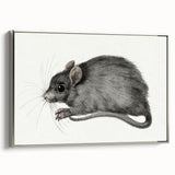 Romanticism Art - Study of a Mouse - Classic Romantic Animal Print