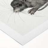 Romanticism Art - Study of a Mouse - Classic Romantic Animal Print