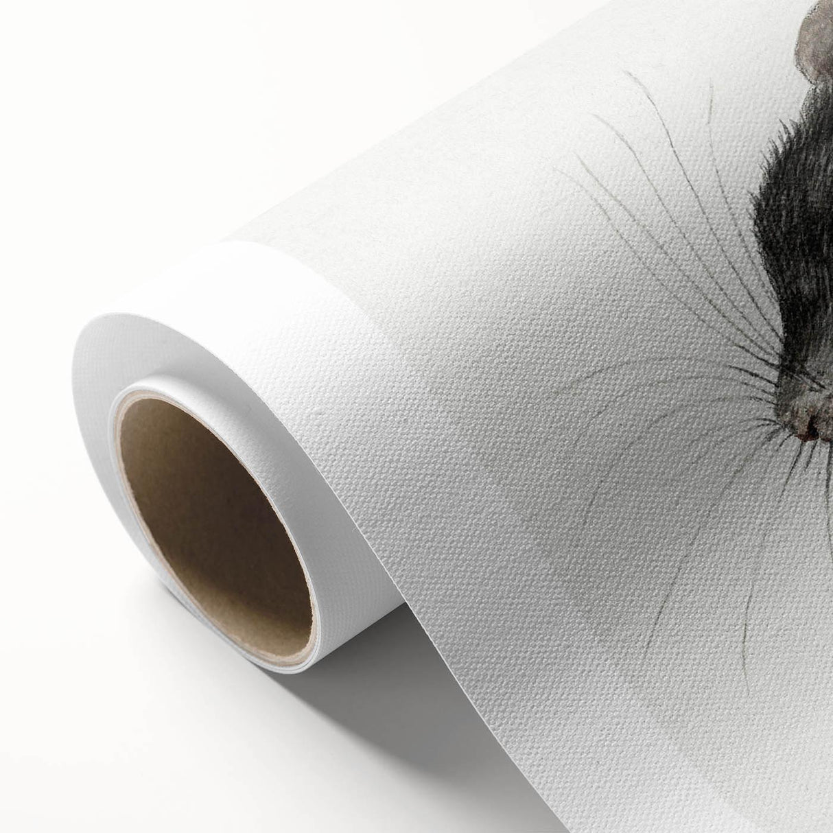 Romanticism Art - Study of a Mouse - Classic Romantic Animal Print