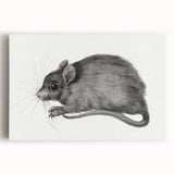 Romanticism Art - Study of a Mouse - Classic Romantic Animal Print