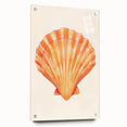 Seashell Nursery Wall Art - Baby Room & Kids Room Decor