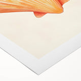 Seashell Nursery Wall Art - Baby Room & Kids Room Decor