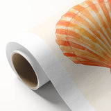 Seashell Nursery Wall Art - Baby Room & Kids Room Decor