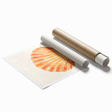 Seashell Nursery Wall Art - Baby Room & Kids Room Decor