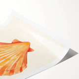 Seashell Nursery Wall Art - Baby Room & Kids Room Decor