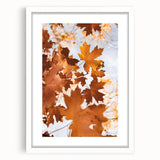 Abstract art print depicting autumnal trees in warm orange and red tones on a white framed canvas.