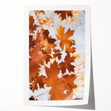 Rolled print of a fall-themed floral art with warm orange and red tones, suitable for art wall dining room.