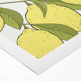 Art deco poster of assorted fruits in vibrant colors on rolled canvas, suitable for dining room wall art.