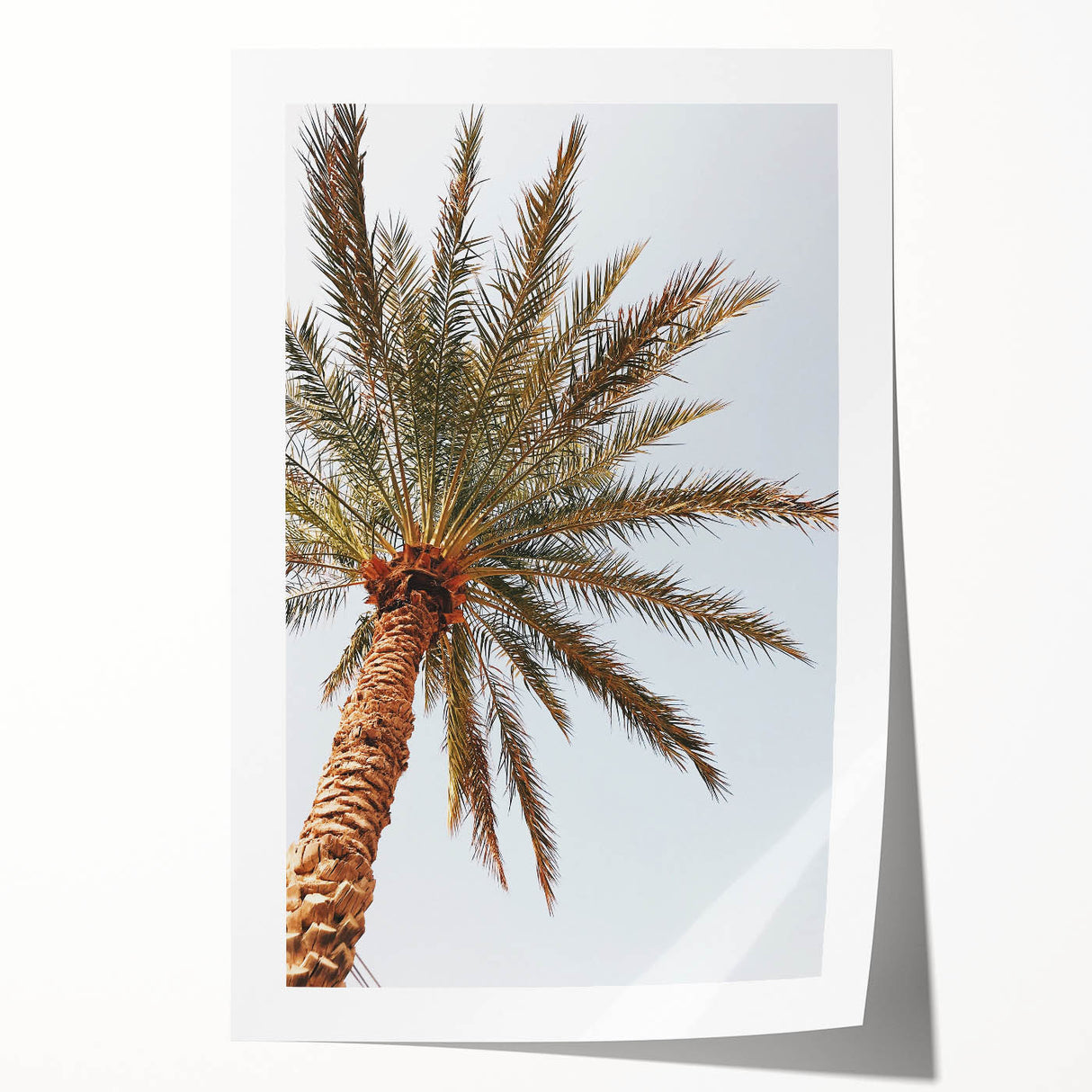 Extra large rolled canvas print featuring a vibrant summer floral design, ideal for art wall dining room or bathroom.