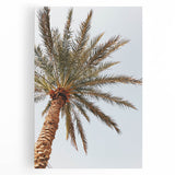 Black and white abstract depiction of summer on large stretched canvas, ideal for kitchen wall art.