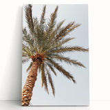 Large black and white abstract canvas depicting summer season, ideal for kitchen wall art or bedroom ambiance.