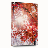 Large abstract wall art featuring swirling autumnal hues on acrylic glass, suitable for bedroom or dining room decor.