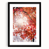Extra large abstract art print with textured, colorful autumn-themed design on a black framed canvas.
