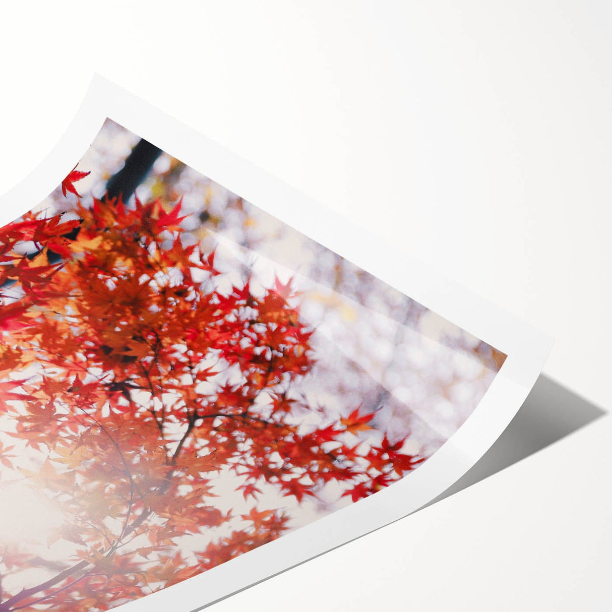 Extra large wall art featuring line art flowers in autumn hues on a rolled canvas, ideal for large living room decor.