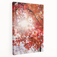 Large canvas print depicting a fall scene with warm orange and red leaves, ideal for kitchen wall art.